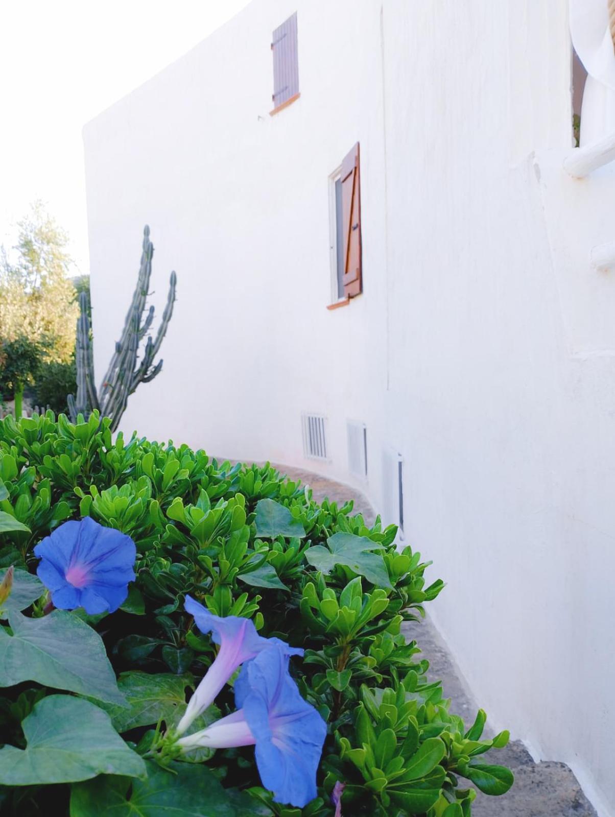 Villa Anna 300 M Dal Mare Torre delle Stelle Esterno foto